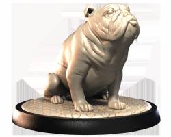 British Bulldog (2)